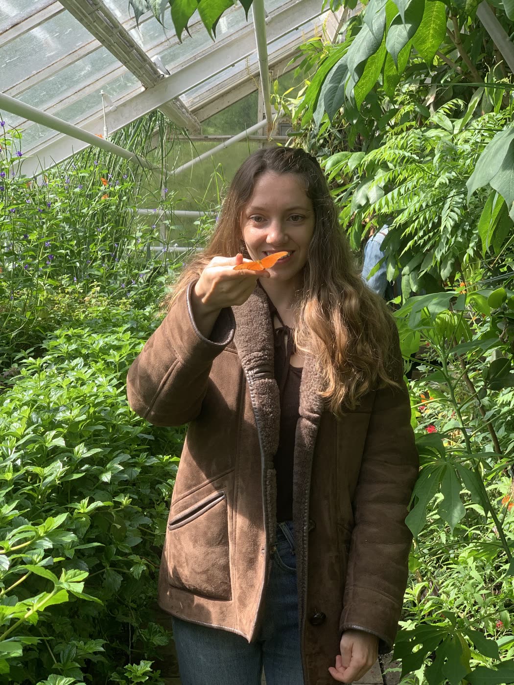 Valentine in the butterfly greenhouse in Amsterdam